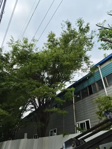 경기 용인 공장시설보수 현장 - 핸드레일 용접 및 도장 마무리 작업 (52번째 사례)