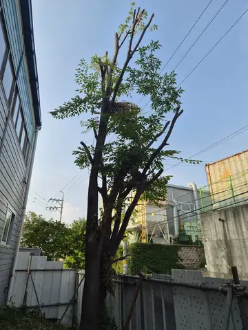 경기 용인 공장시설보수 현장 - 현장 실측 및 안전점검 모습 (53번째 사례)